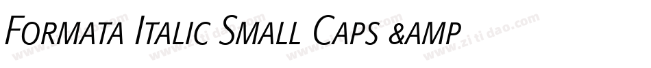 Formata Italic Small Caps & Oldstyle Figures字体转换